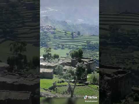 ايوب العيد وصل