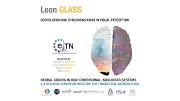 Leon Glass - Correlation and Synchronization in Visual Perception