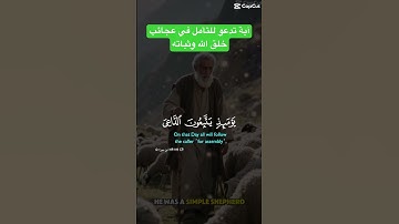 #المصحف #quran #اللهم_صل_وسلم_على_نبينا_محمد #قرآن #قران_كريم #الله #دعاء #راحة_نفسية #تلاوة_خاشعة