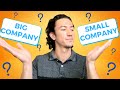 Should you work for a big company or a small company deep dive comparison