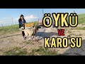 DAMLA KÖPEK KORKUSUNU YENDİ☺️ ÇİFLİKTE SIRADAN BİR GÜN