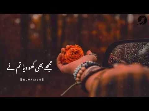 Mujhe Bhi Kho Diya Tumne || Best Urdu Poetry || Sad Poetry Status || Sad Shayari Whatsapp Status