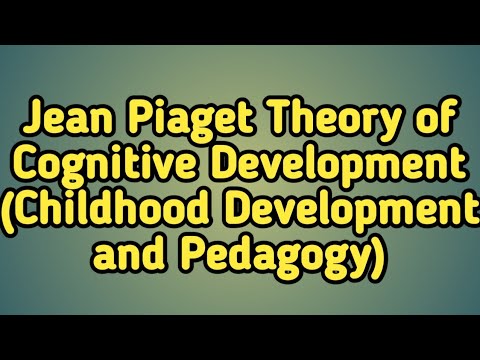 JEAN PIAGET THEORY OF COGNITIVE DEVELOPMENT || CTET EXAM 2023 || TAIT ...