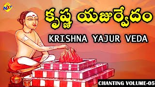Krishna Yajur Veda (కృష్ణ యజుర్వేదం) Chanting  Vol - 5 Vedic Manthras |వేద మంత్రాలు TVNXT Devotional