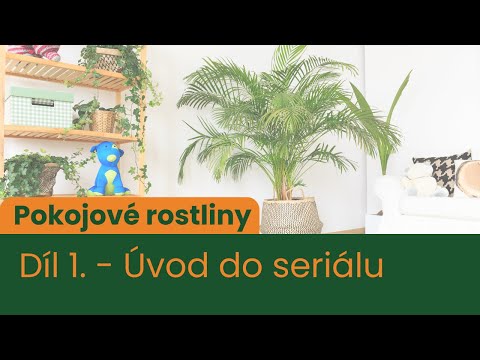 Video: Potřebují rostliny tmu?