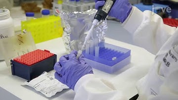 Evaluation of the Impact of Protein Aggregation on Cellular Oxidative Stress in Yeast