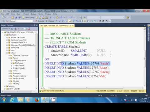 SQL Server In Hindi   DataType SmallInt