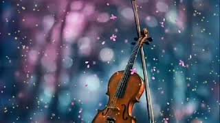 kanneer poovinte kavilil thalodi | Malayalam sad song| violin | Malayalam WhatsApp status | music