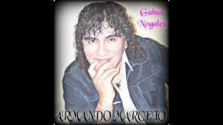 Video thumbnail of "Armando Marcelo - Tiempo al tiempo"