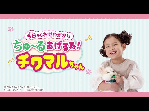 ちゅ〜るあげるね！チワマルちゃん - YouTube
