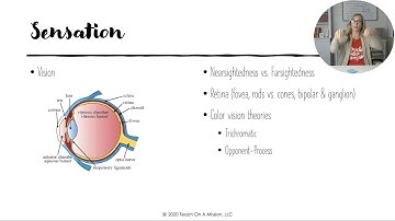 AP Psychology Unit 3 Sensation and Perception Review Video with Mandy Rice