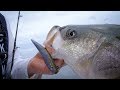 How to vertical jigging for stripers in cape cod bay
