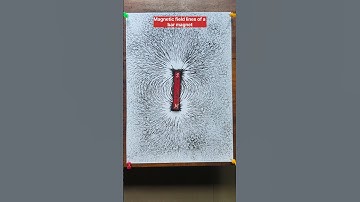 Magnetic field lines of a Bar Magnet with Iron Filings #shorts#physics #demonstration