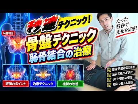 恥骨結合の治療（骨盤の治療技術動画）