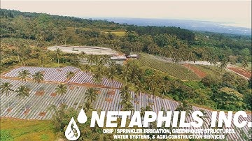 NETAPHILS INC - Grow More With Less