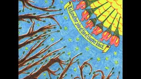 Danielson Famile - 08.Big Baby