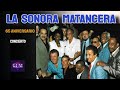 Capture de la vidéo Sonora Matancera / 65 Aniversario / Concierto