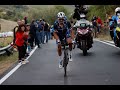 Julian Alaphilippe - Top 10