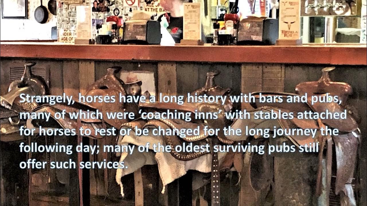 National Ride Your Horse to a Bar Day YouTube