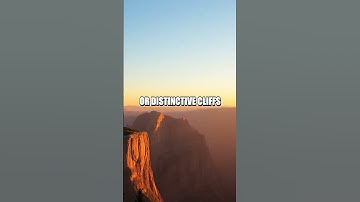 Using Natural Landmarks for Navigation