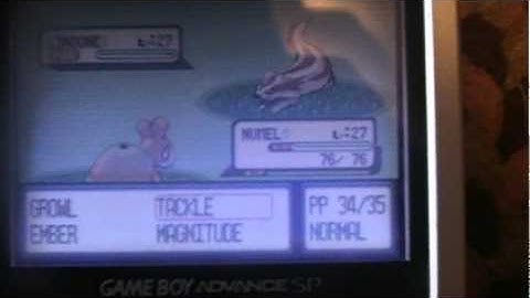 Shiny Linoone In Ruby, Random Encounter!