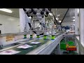 Robotphoenix industrial automation packing line for food industry/delta robot pick and place