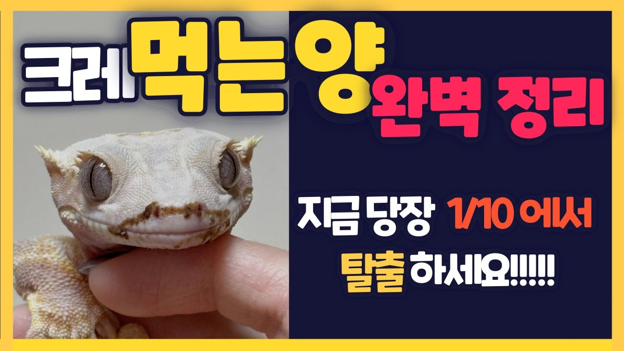 Если вы это сделаете, у вас будут большие проблемы!! Пожалуйста, следите за происходящим и скорми...