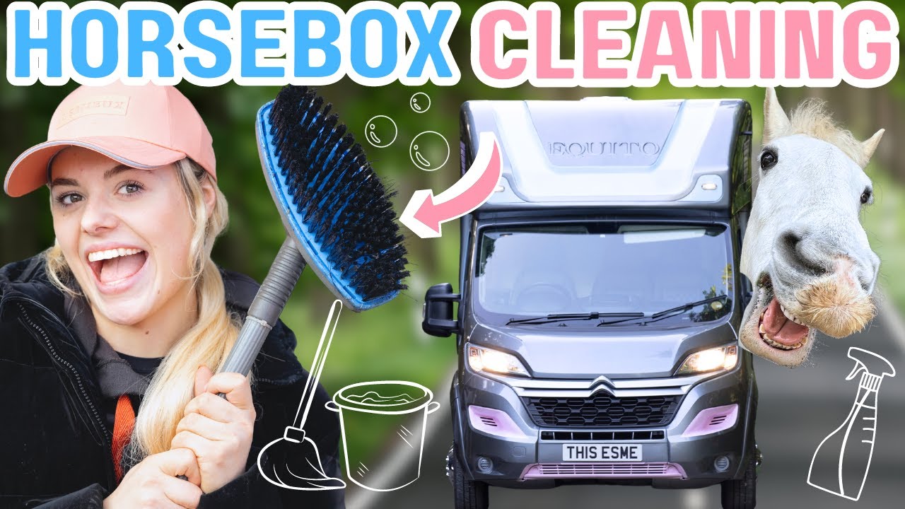 Spring Clean Series - Episode 2 - Horsebox version - YouTube