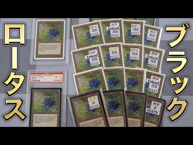 お*す様 【最終値下】MTG PINFINITYブラックロータスMythicEd Pinfinity Black Lotus Pin Set – Pinfinity - Augmented