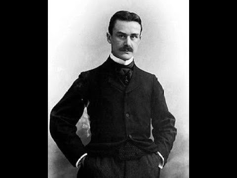 ドイツ/古本 THOMAS MANN JAHRBUCH Band 18 2005 Thomas Mann Jahrbücher – Deutsche Thomas Mann-Gesellschaft