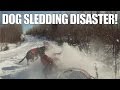 What Happens When You Fall Off Your Dog Sled // A Musher's Nightmare!