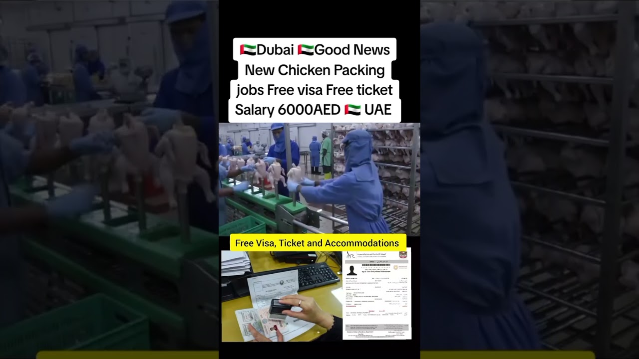 Chicken Packing Jobs in Dubai & UAE | Free Visa + Ticket + Accommodation | Salary AED 2000–7000