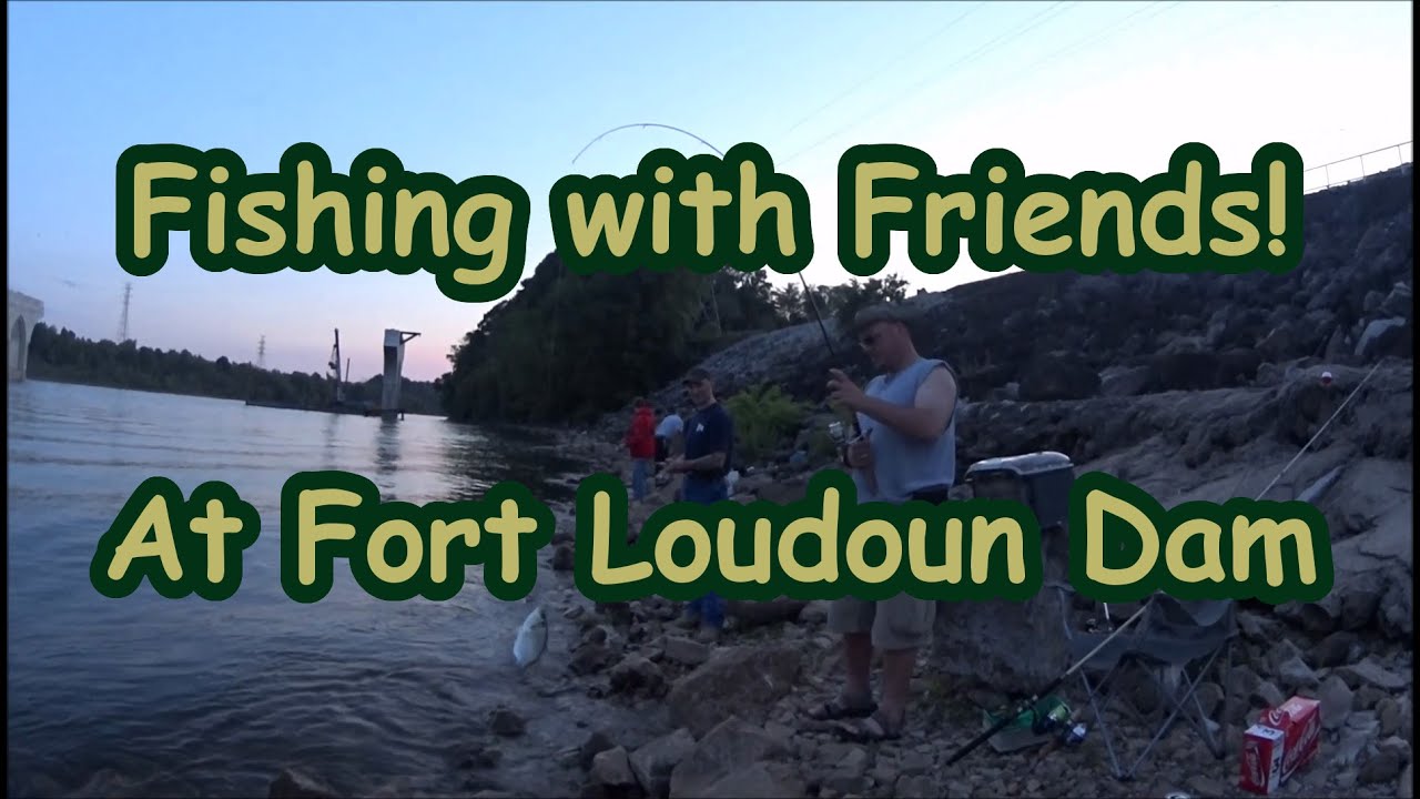 Springtime Fishing below Fort Loudoun Dam with friends YouTube