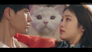 Kore Klip (Kız, insana dönüşen kediye aşık oldu) Welcome // Meow, the Secret Boy // 어서와 / kore klip