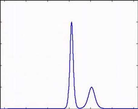Two soliton solution of the KdV equation