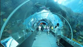 SEA Aquarium Singapore 2019 , Resorts World Sentosa