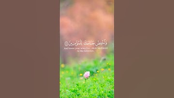 "إِنَّ رَبَّكَ هُوَ الْخَلَّاقُ الْعَلِيمُ "| القارئ : هزاع البلوشي 🤍