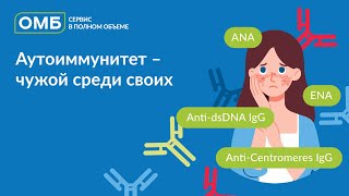 картинка: Аутоиммунитет - чужой среди своих