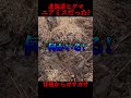 ヒグマとニアミス?ガサガサ動く大型の獣。#熊#ヒグマ#ニアミス#釣り
