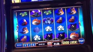 Run with the Pack bonus hit