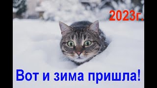 Вот и зима пришла. 2023г. Here comes the winter. 2023.