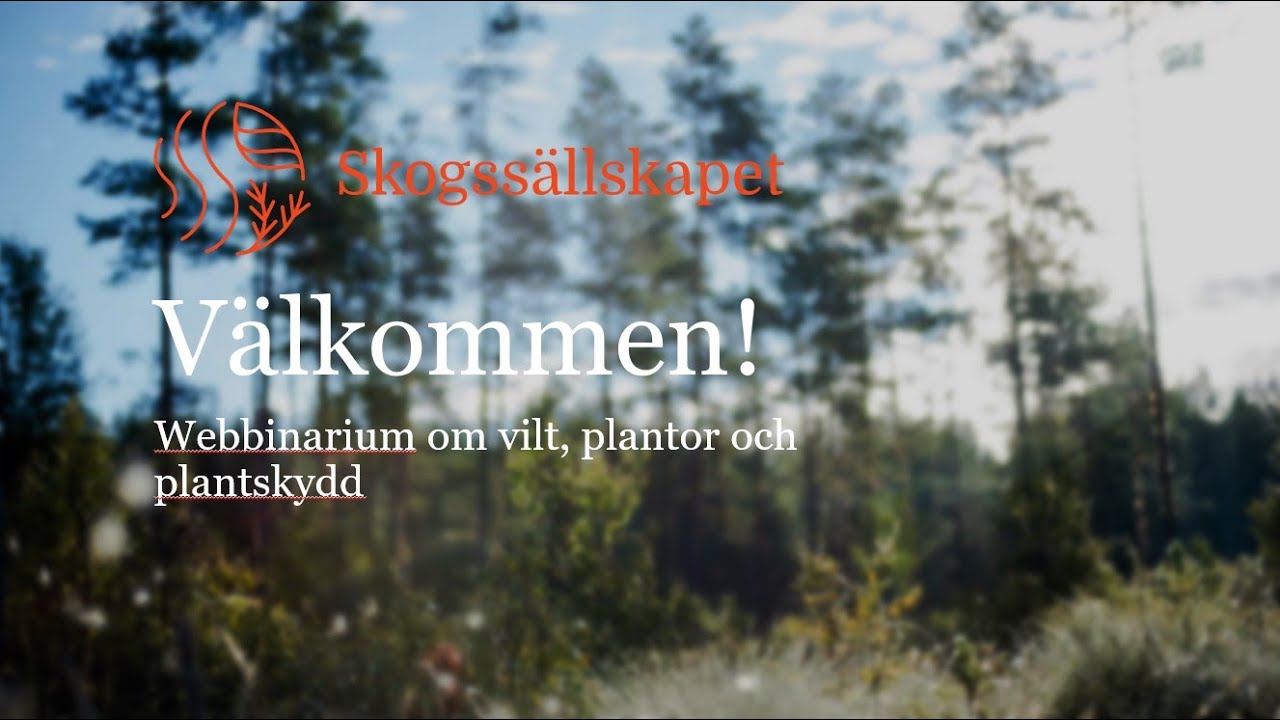 Webbinarium om vilt plantor och plantskydd