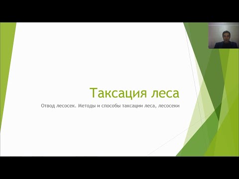 Таксация леса  2 1  3 курс Лесное дело