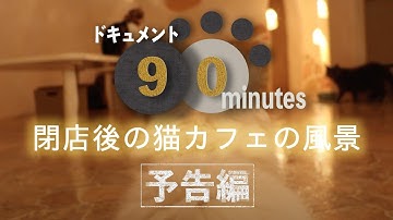 ドキュメント90分〜閉店後の猫カフェの風景〜【予告編】