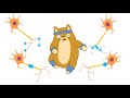 Understanding Muscle Contractions