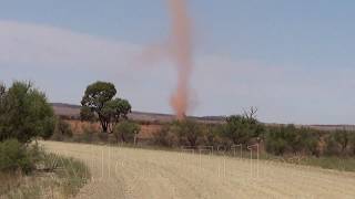 Dust Devil - Terowie