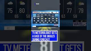 Meteorologist gets a case of the giggles during forecast