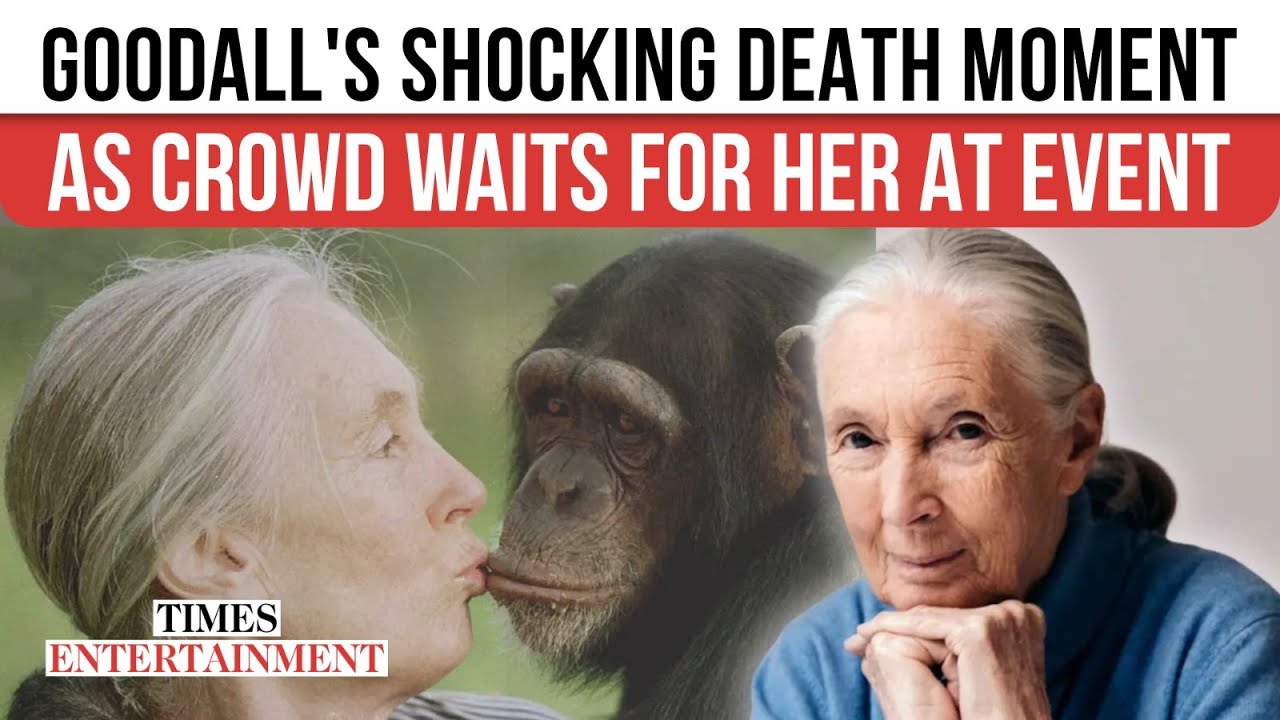 Crowd Stunned The Moment JANE GOODALL DEATH Is Announced At California Event She Was Going To Attend