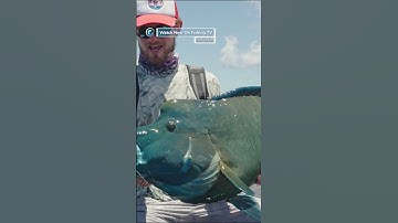 Fly fishing the untouched Seychelles for exotic monsters - ‘Farquhar’ on FishingTV