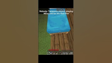 Terrararia players playing Minecraft 2d Minecraft #minecraft #terraria #gaming #2dminecraft